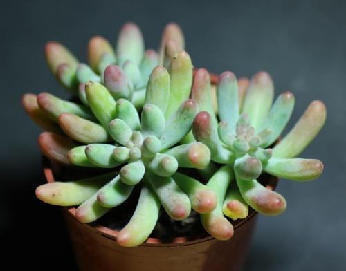 ÈýÏ¿ÓæÃñÍ˲¶ºóÐÂÉú»î:´Ó