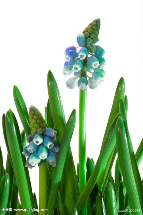 ܹģ2000ԪйҵĻ仧Ϻ