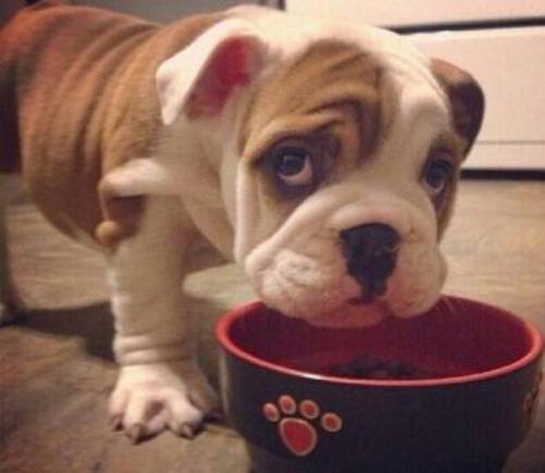 美以试图加大对伊朗施压 地区紧张局势再度升温