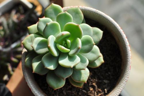 鲿1.97ԪοѵԱϵԱϸɲ