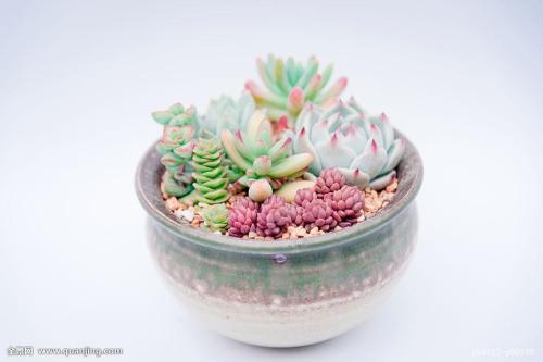 ƺӷⶳٶȼӿ쳤ȴﵽ631.3 ǧ׷