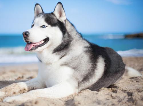 全球IPO融资额接近历史高位 市场担忧股市泡沫